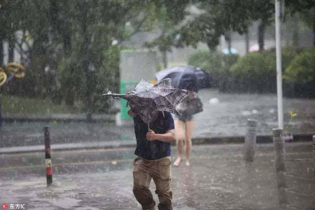 臺風中奔走的行人 臺風中奔走的行人